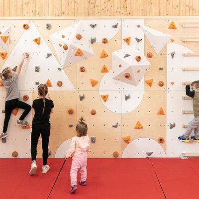 Čiužinys laipiojimo sienelei Blockids10 - viešosioms erdvėms