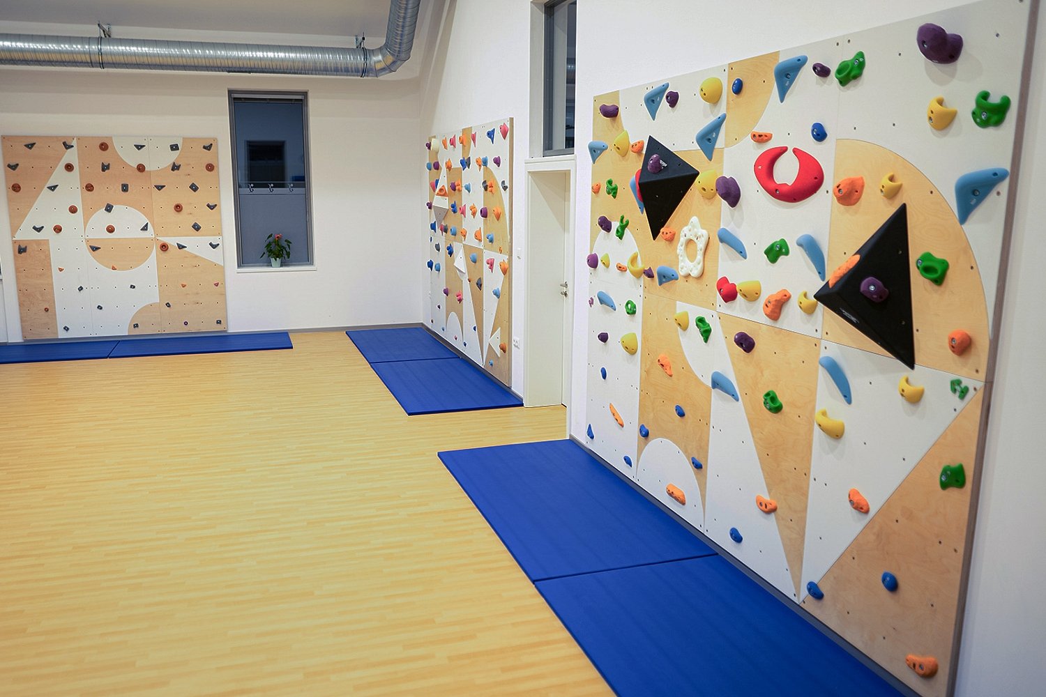 Laipiojimo sienelė Blockids6 darželiams ir mokykloms