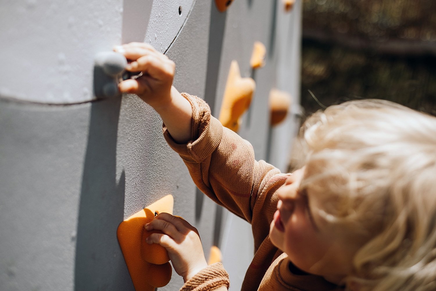 Lauko laipiojimo sienelė Blockids2